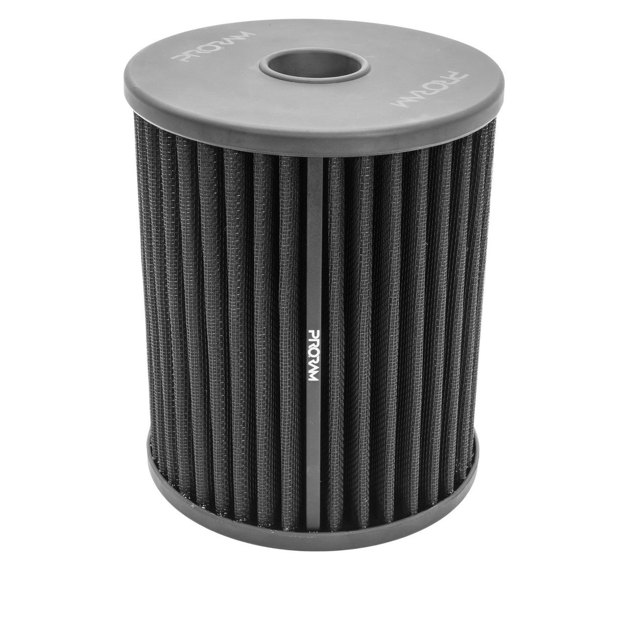 PRORAM OE Replacement Pleated Air Filter - Audi RS6 Quattro C7-RS7 Quattro 4G (4.0L)